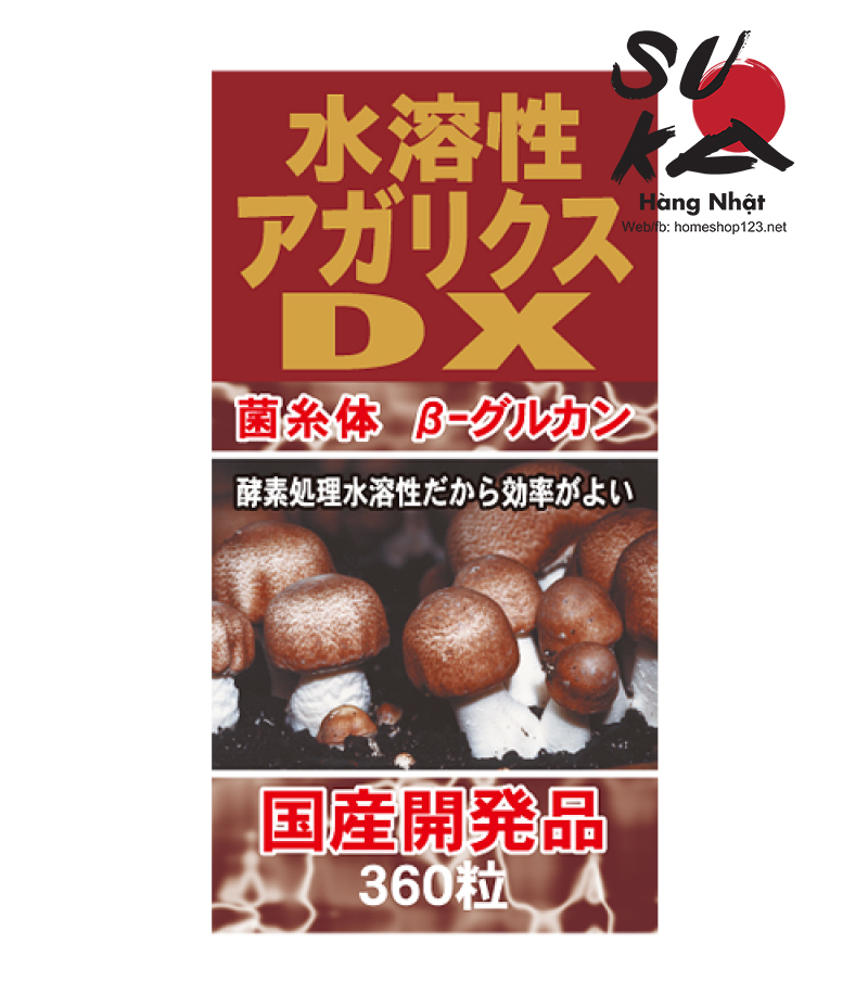 Nấm Agaricus DX Nhật Bản - Hỗ trợ điều trị ung thư